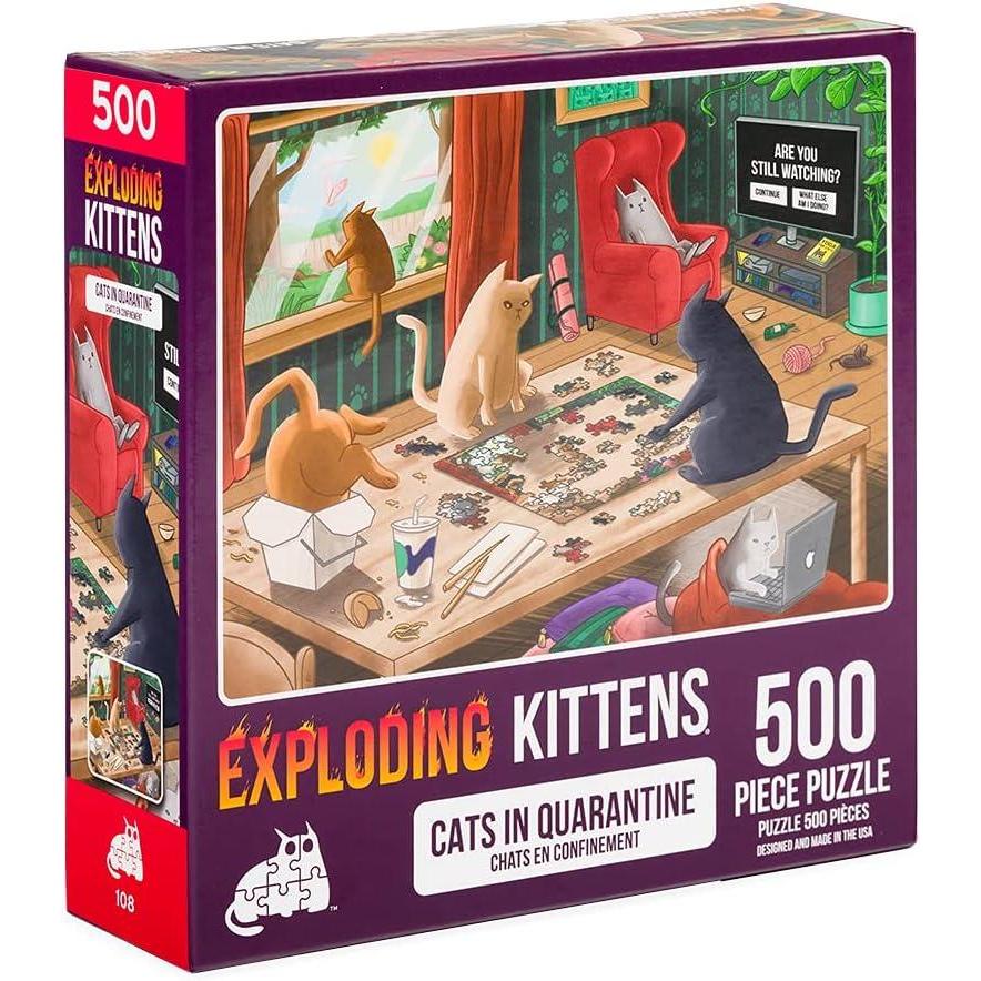 imageCat in The Mirror Jigsaw Puzzle by Exploding Kittens 1000 Pieces Ideal for Adults Teens and Kids A Funny and Artistic CatThemed PuzzleCats in Quarantine 500 Piece